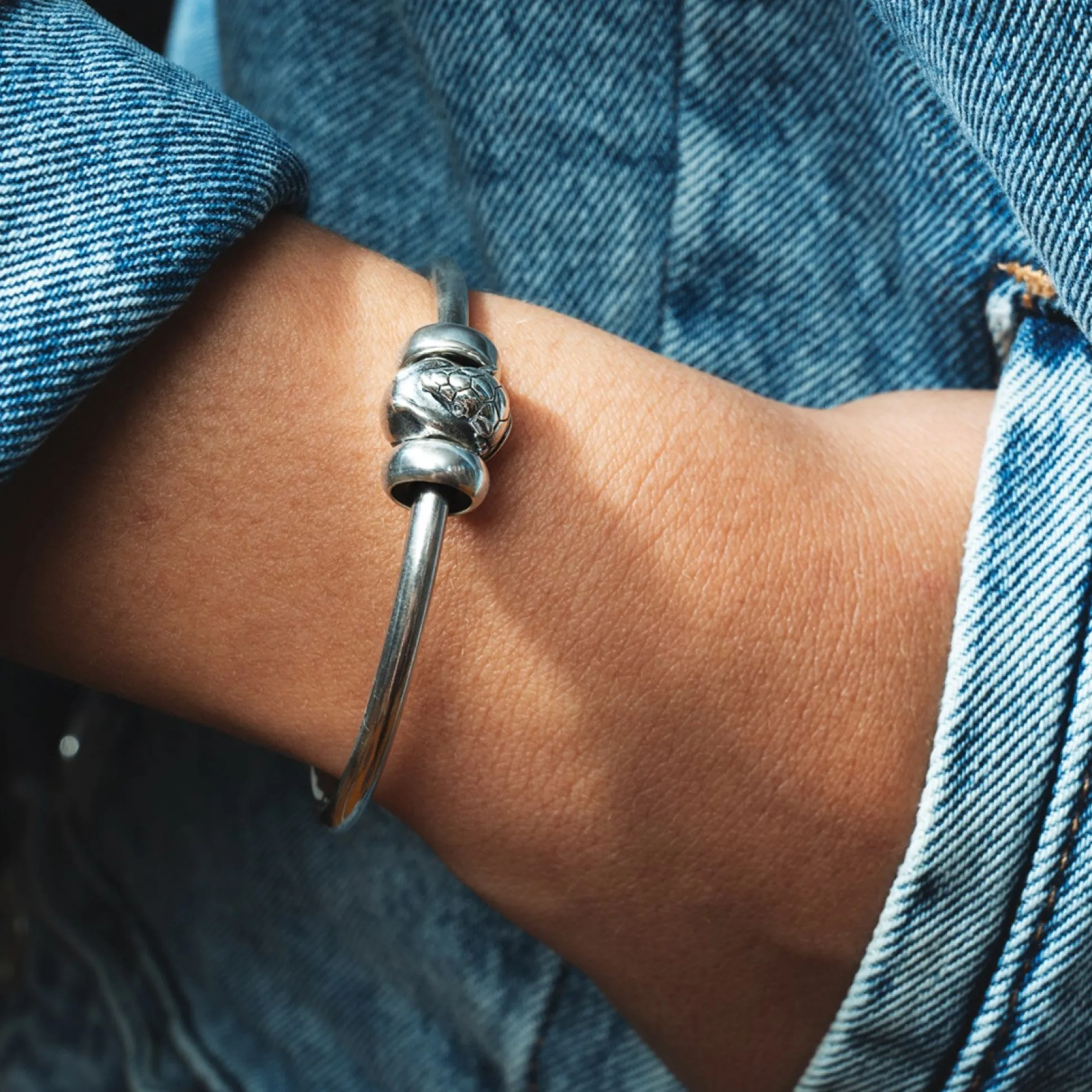 Trollbeads Beads*Silver Armadillo Bead