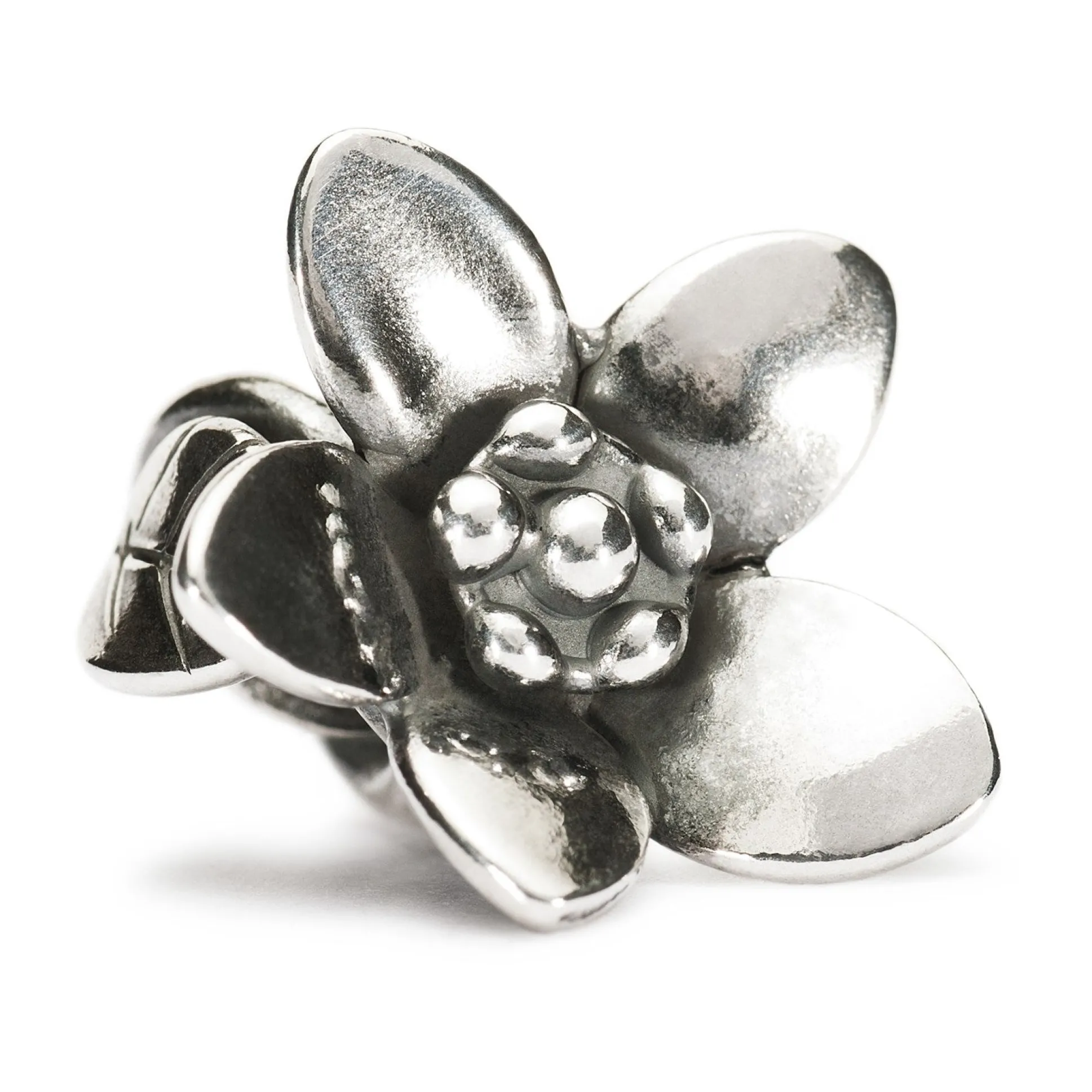 Trollbeads Beads*The Messenger Bead